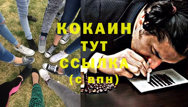 Cocaine Fish Scale  где купить наркотик  Гремячинск 